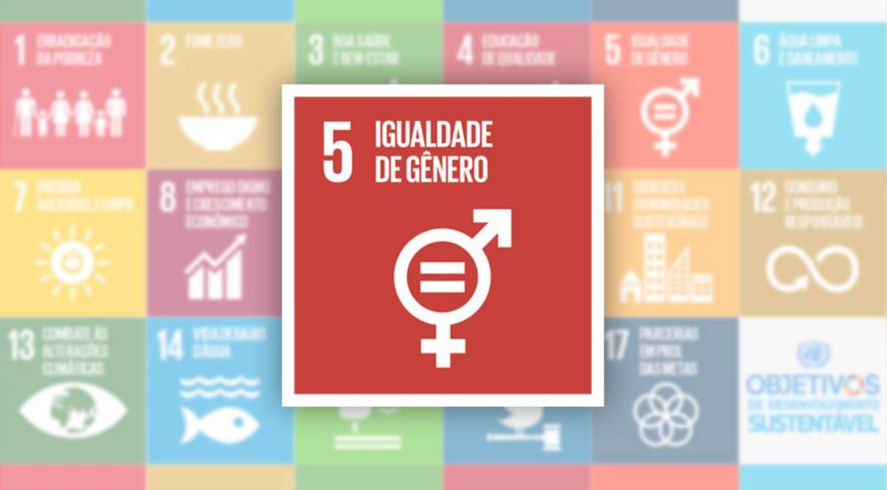 Género, Diversidade e Cidadania - Globalização, Pobreza e Género